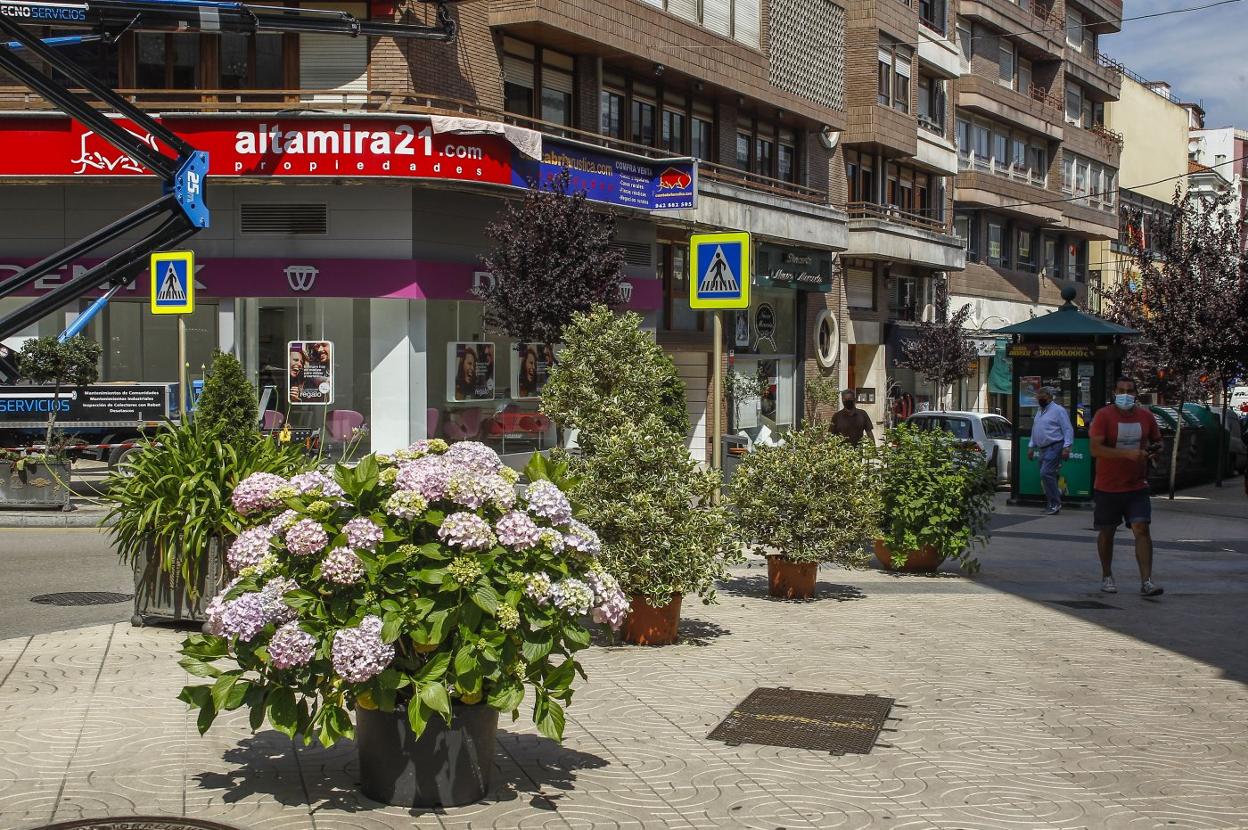 Flores y plantas colocadas en la confluencia entre las calles Julián Ceballos y Ruiz Tagle. 