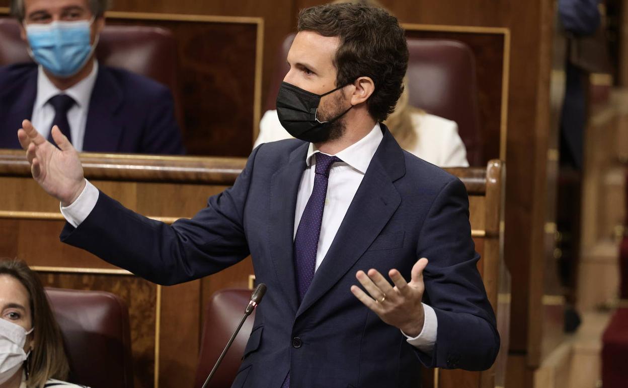 Pablo Casado, durante su intervención este miércoles en el pleno del Congreso de los diputados.