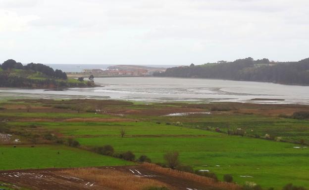 Marisma de Rubayo y desembocadura del Miera 