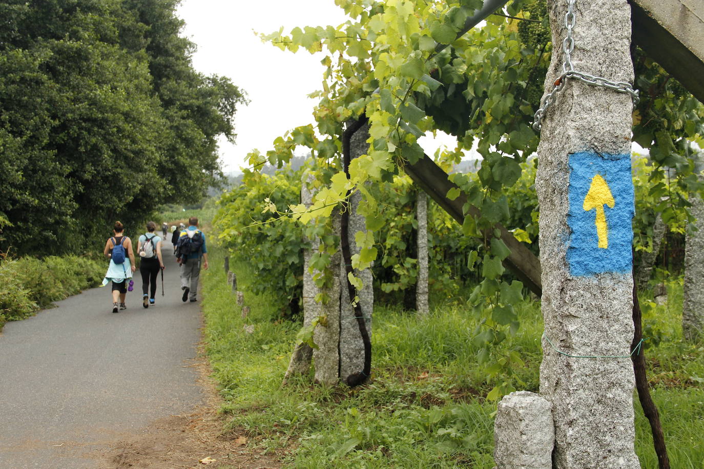 Camino de Santiago (Galicia)