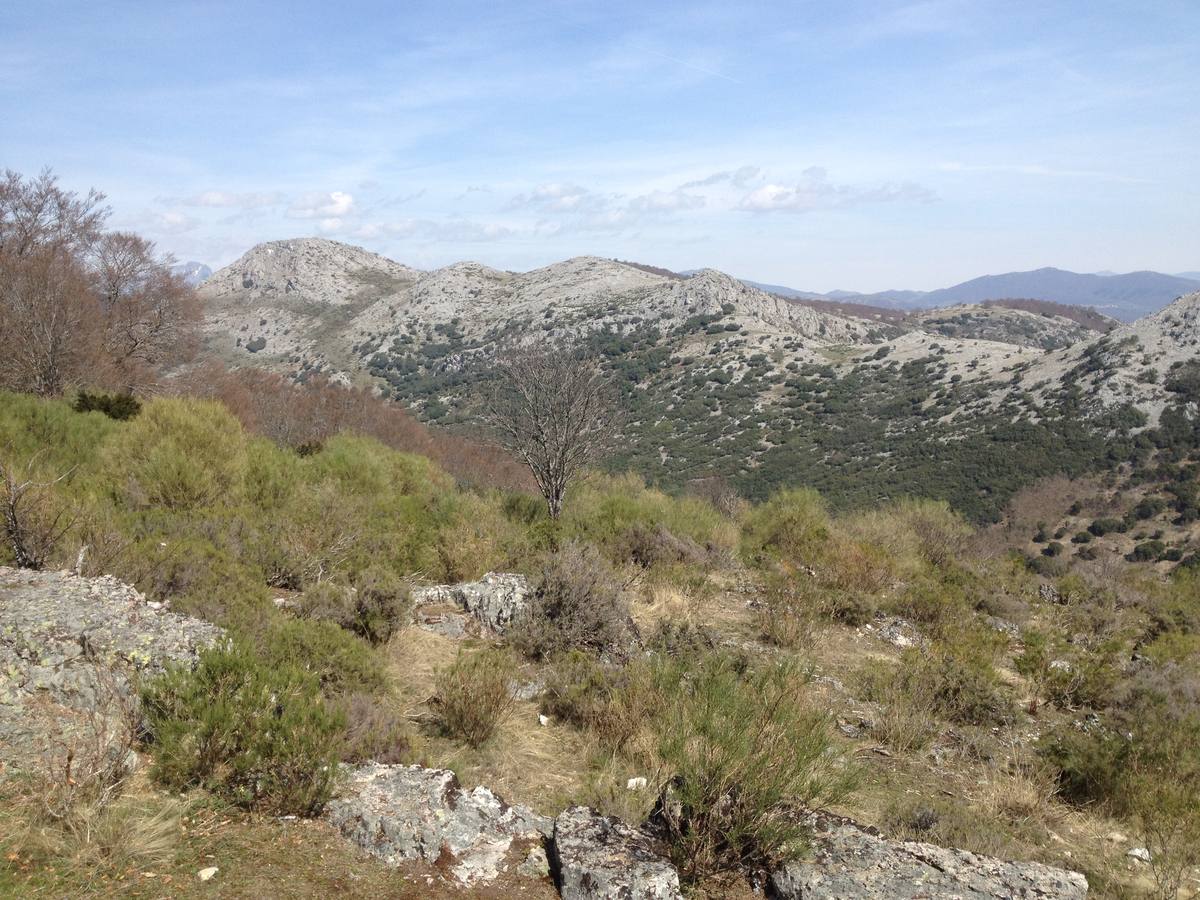 Fotos: Escapada a la Montaña Palentina: la magia de la Tejeda de Tosande