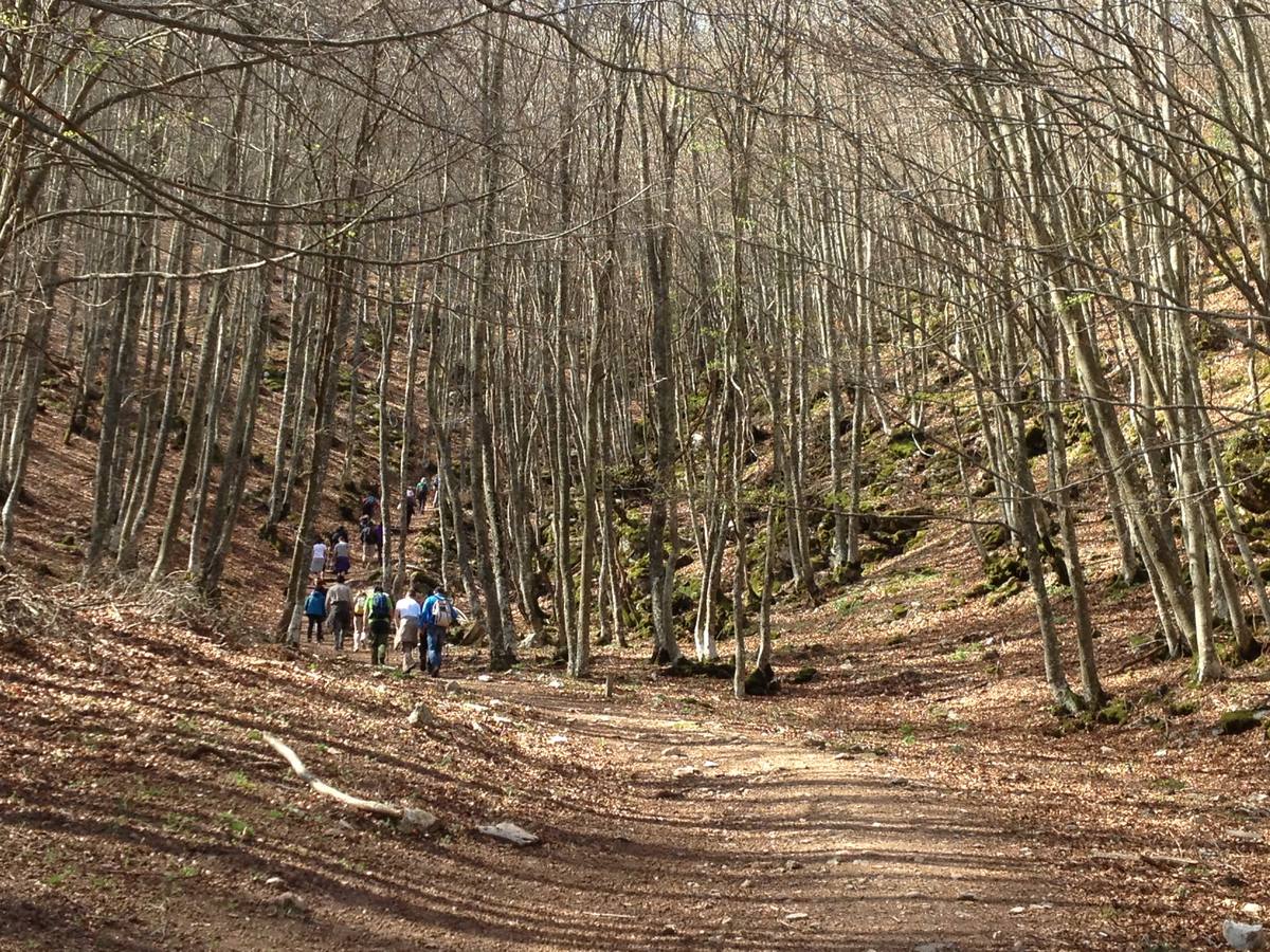 Fotos: Escapada a la Montaña Palentina: la magia de la Tejeda de Tosande