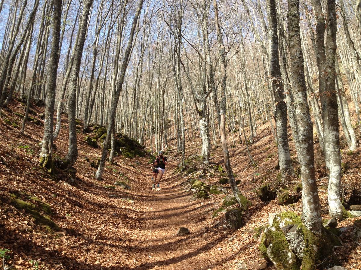 Fotos: Escapada a la Montaña Palentina: la magia de la Tejeda de Tosande