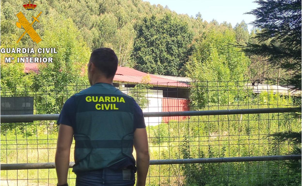 Imagen facilitada por la Guardia Civil.