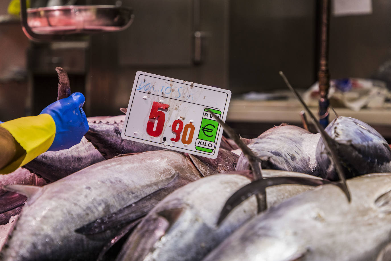 Las pescaderías notan las «ganas» de los clientes por probar los primeros túnidos de la campaña