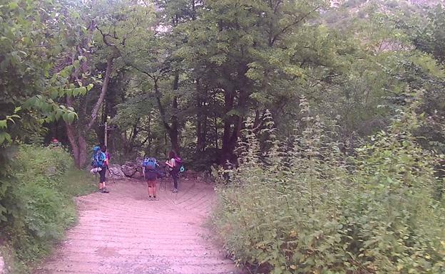 Recorremos el Cares pero de una forma diferente y no tan popular como la famosa senda del mismo nombre. Esta vez a través de un bonito tramo el que disfrutaréis de algunas de las mejores vistas de los Picos de Europa