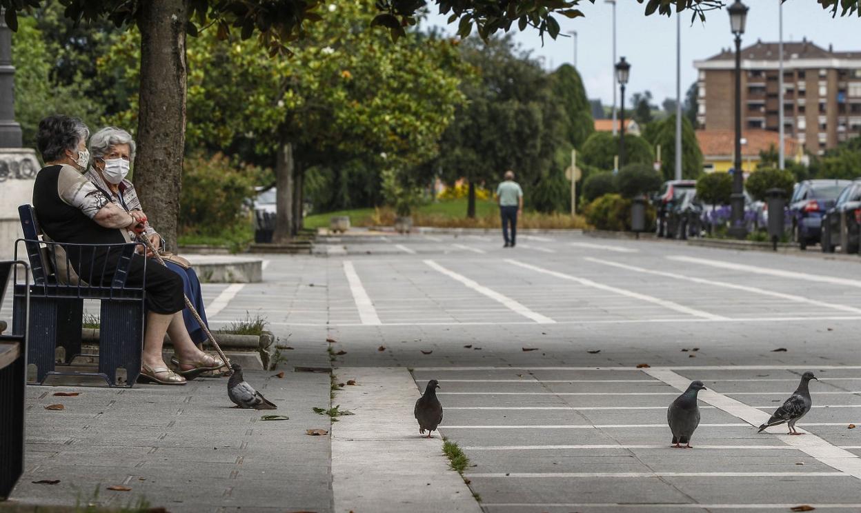 Varias palomas caminan junto a unas vecinas en el paseo Eulalio Ferrer del Barrio Covadonga. 