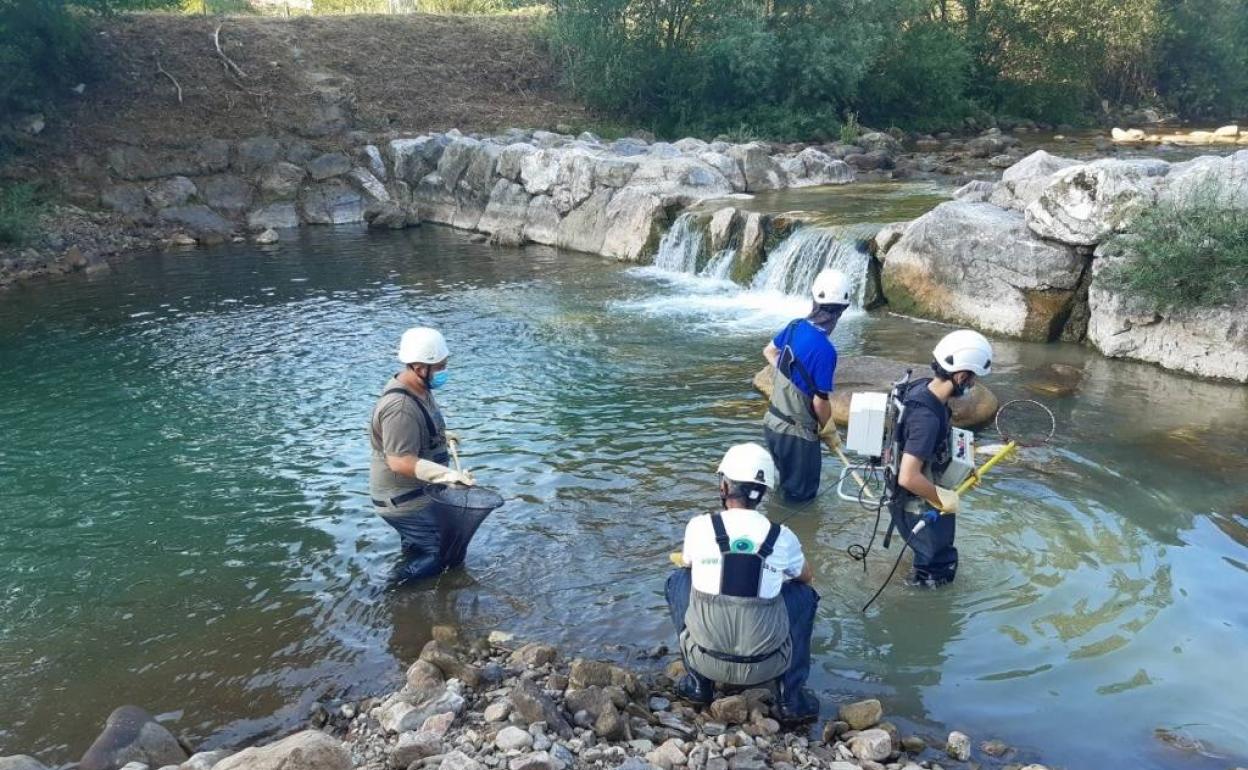 Trabajos de la Confederación en el cauce del río Los Llares.