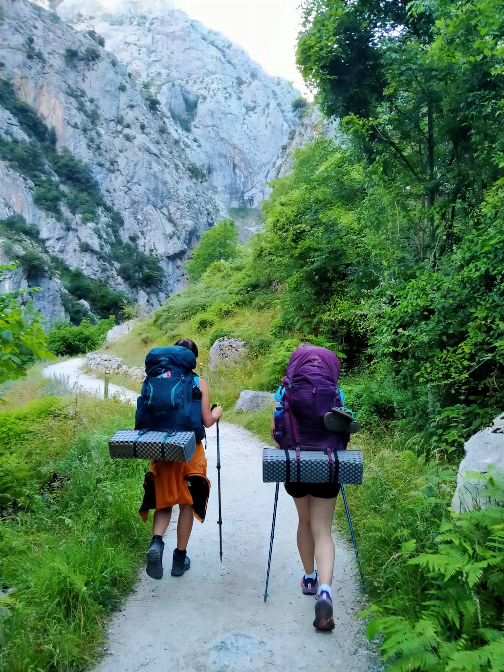 Pertenecen al grupo de Facebook 'Montaña en Femenino' y se han conocido para disfrutar de esta experiencia. Durante el camino confiesan que se han cruzado con montañeros a los que «les chocaba vernos juntas en el monte o, más bien, sin una figura masculina que tutelase al grupo»