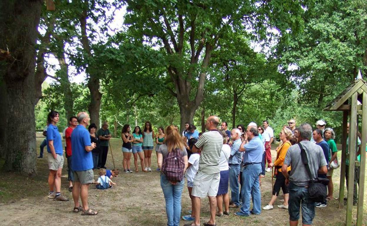 Visita guiada de una de las ediciones anteriores en el Arboreto de Liendo 