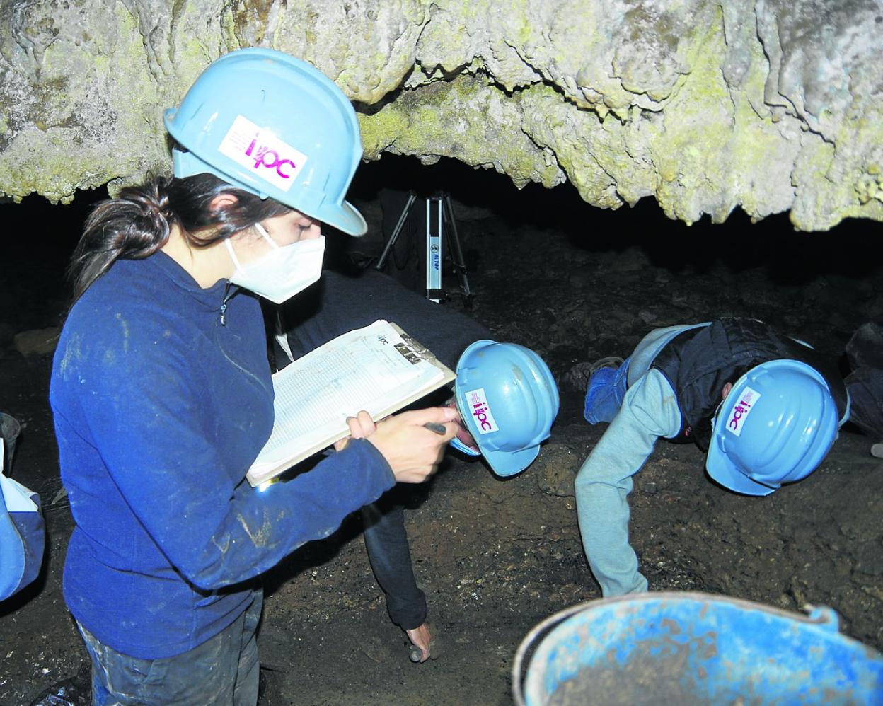 Equipo de investigadores trabajando en el yacimiento. 