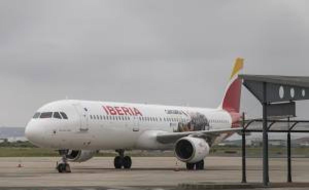 La imagen de los animales de Cabárceno vuela desde hoy con Iberia a 90 destinos