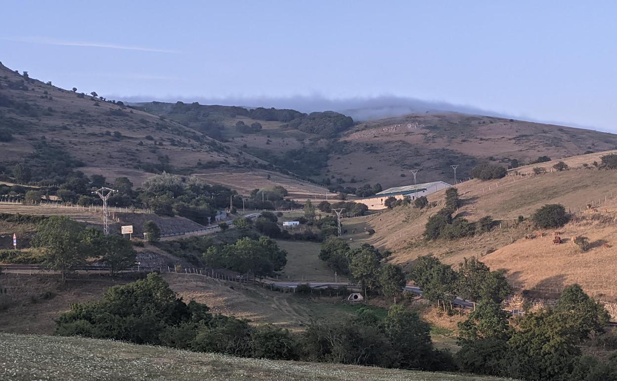 Zona próxima a la localidad de Aradillos en la que está prevista la construcción de un nuevo vial, para salvar una curva y que los transportes especiales puedan circunvalar el pueblo. 