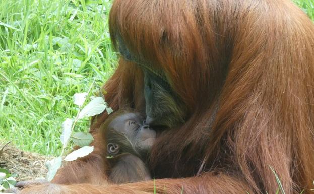 La pequeña Oihana con su madre Tuah