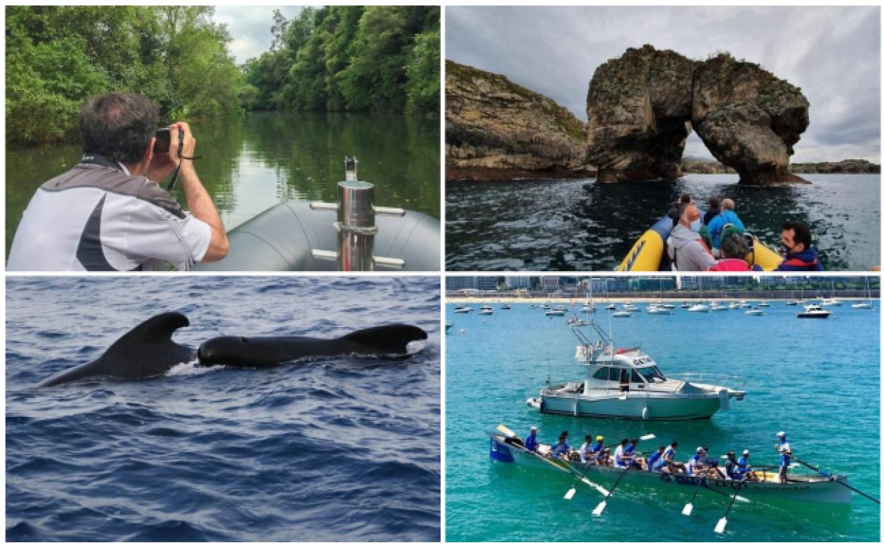 Aventura, naturaleza y relax en cuatro planes en barco por el Cantábrico