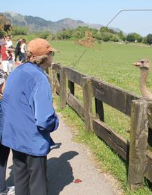 Imagen secundaria 2 - Arriba, vista aérea de Cabárceno, abajo tres vecinos del pueblo que se encargan del mantenimiento de pilones y a la derecha una visitante en el Parque de la Naturaleza de Cabárceno 