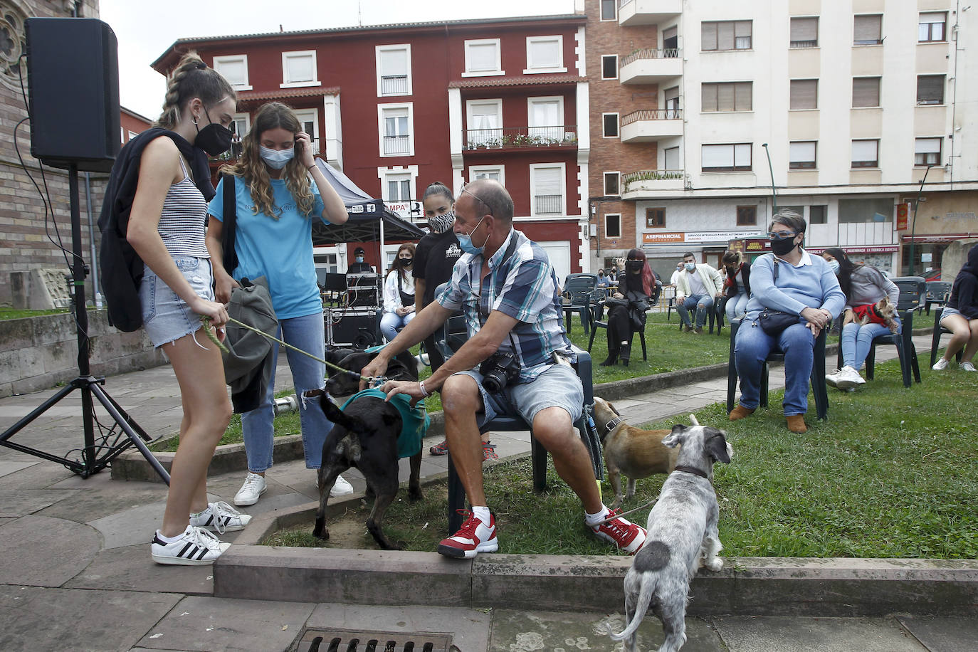 Fotos: Los perros, bendecidos por La Patrona