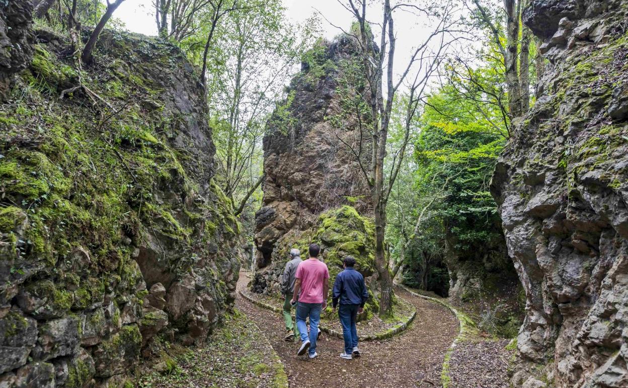 Los visitantes podrán escoger diferentes caminos para pasear.