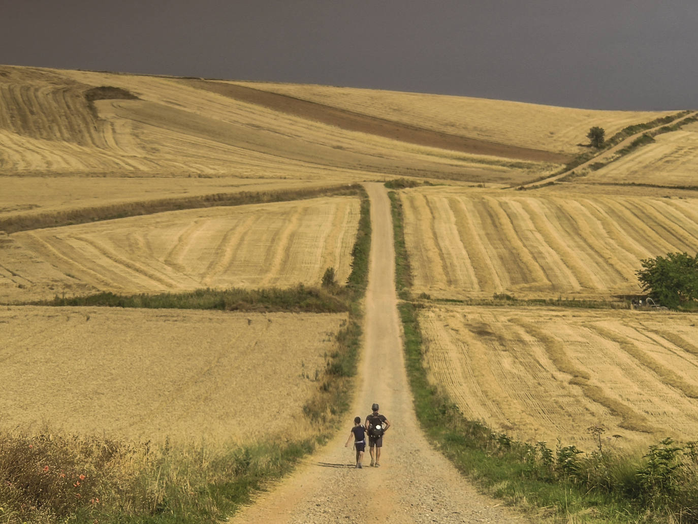 Un padre y su hijo enfilan la larga recta entre campos de cereal que conduce a Santo Domingo de la Calzada. Que el cielo no les engañe: faltan 200 kilómetros para que nos caigan las primeras – y casi únicas- gotas con que nos regalará el Camino.