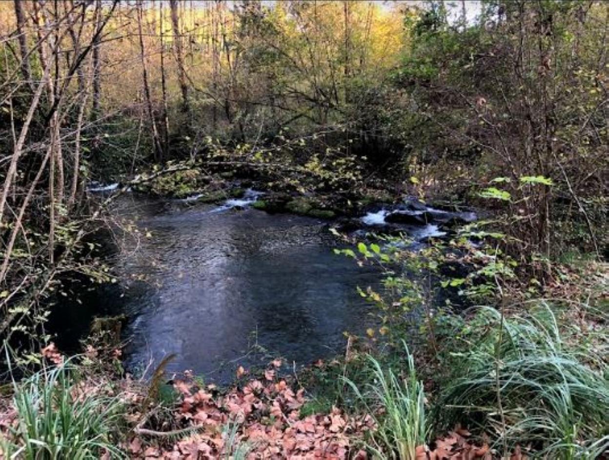 Entorno natural de la Fuente del Francés. Dm