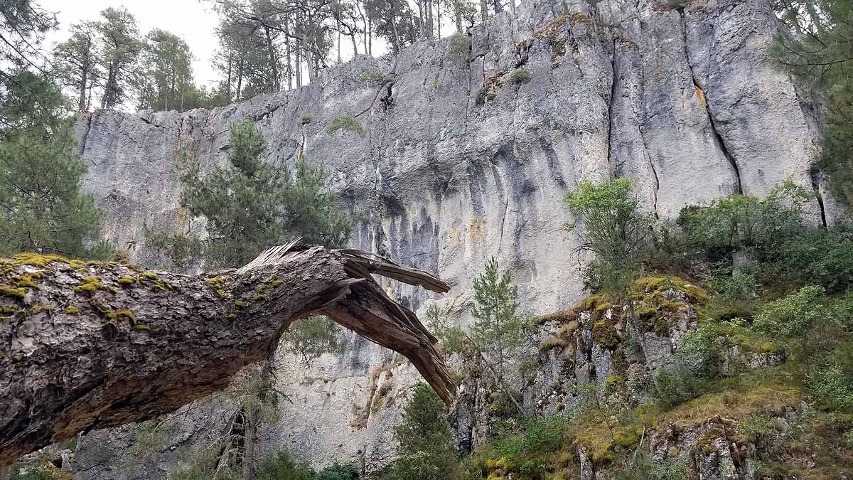 Fotos: Recorrer las esculturas naturales que el río Lobos ha esculpido