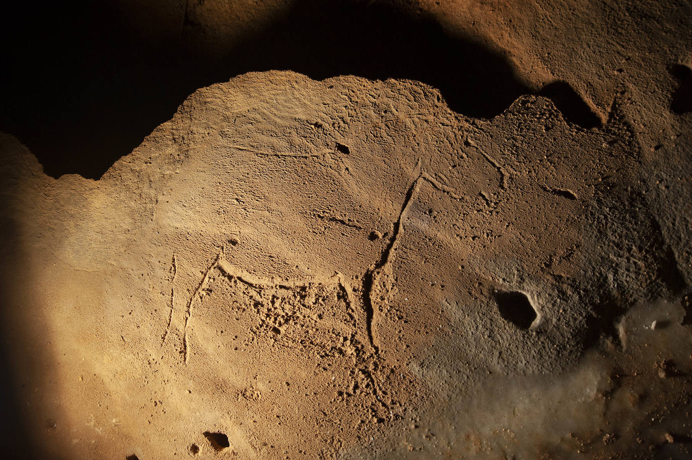 Grabado en el suelo de la cueva representando un caballo