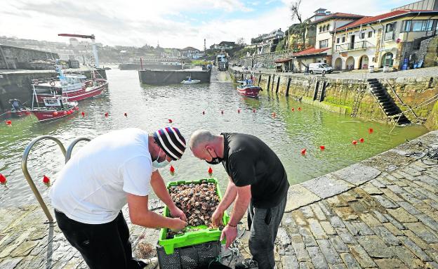 Los pescadores de Comillas contarán con un sistema mejorado para fabricar hielo