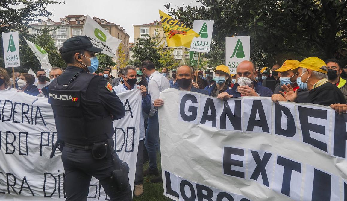 Los ganaderos cántabros se han manifestado en los Jardines de Pereda, cerca del Centro Botín, lugar que vistaba Pedro Sánchez.