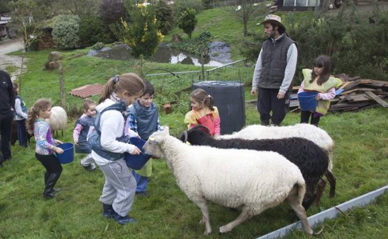 Varios de los niños que han participado en esos cursos en anteriores ediciones.