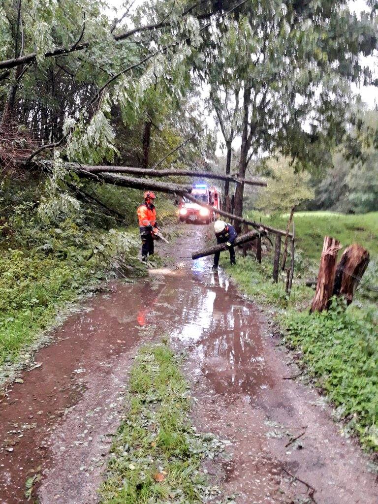 Fotos: Retirada de árboles y otros destrozos provocados por el viento
