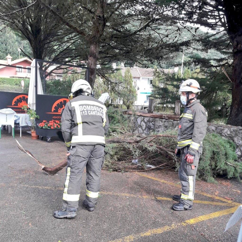 Fotos: Retirada de árboles y otros destrozos provocados por el viento