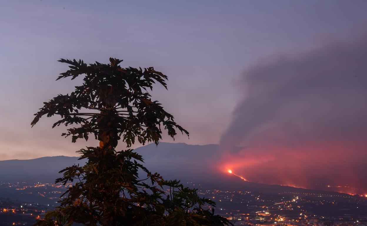 Parte de lava del volcán está transcurriendo por tubos volcánicos que desembocan en el mar. 
