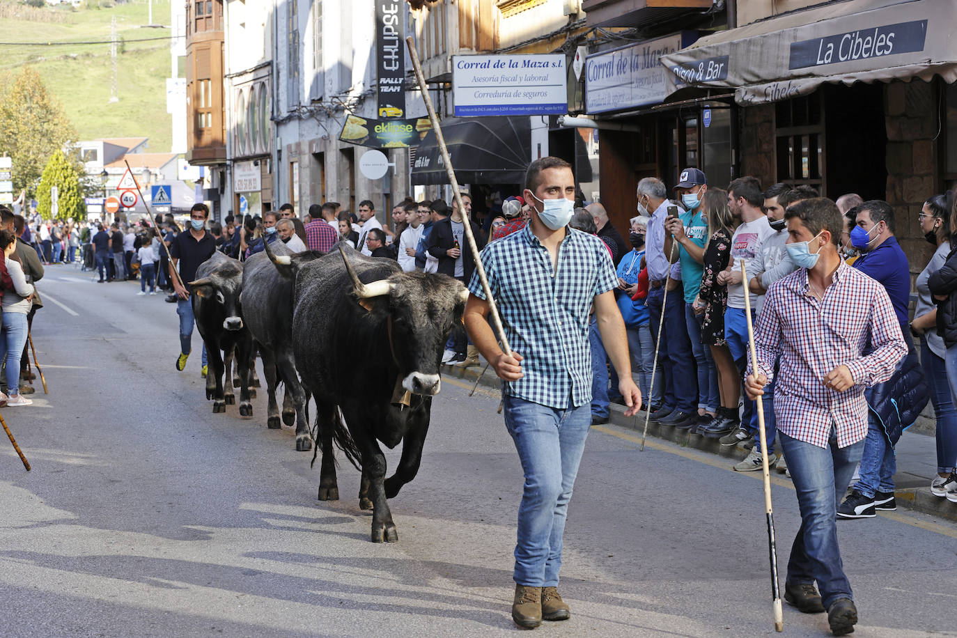 Fotos: Pasión tudanca en Cabezón de la Sal