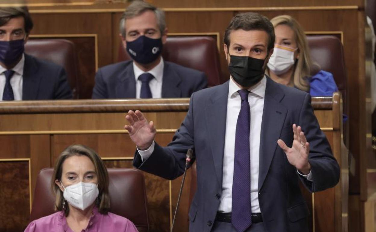 El líder del PP, Pablo Casado, interviene en la sesión de control al Gobierno en el Congreso 