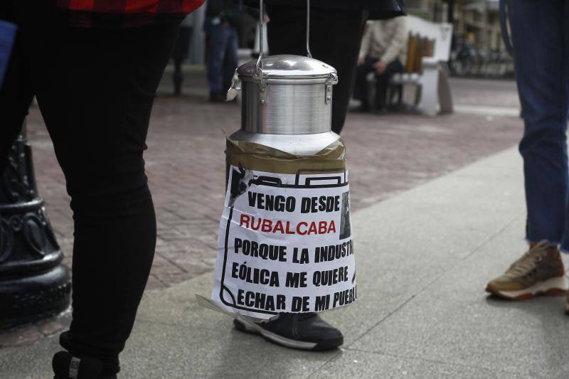 Fotos: Concentración y manifestación contra los eólicos