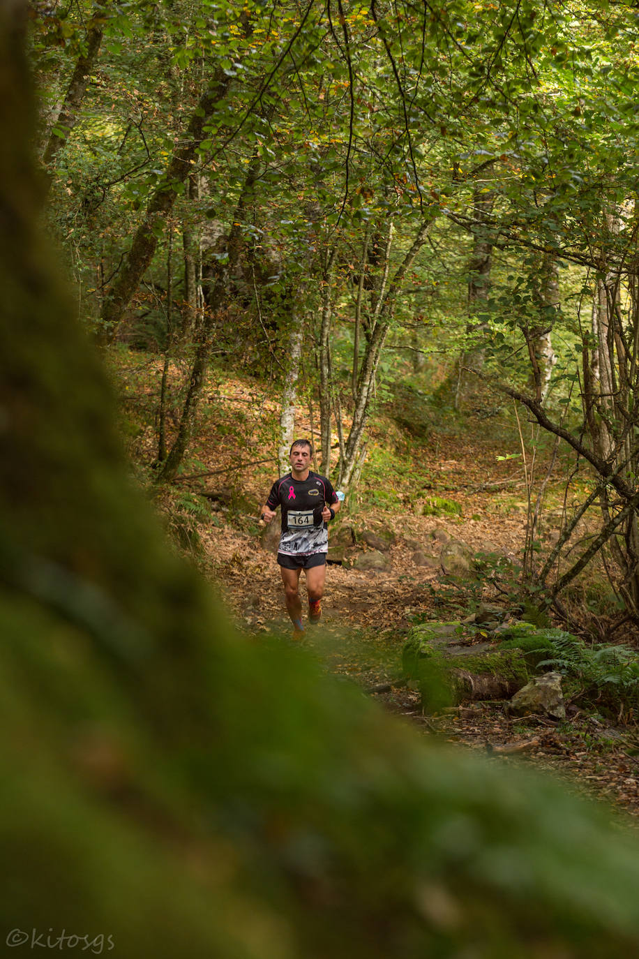 Fotos: Imágenes del IV Trail de Mogrovejo