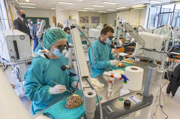 Los neurocirujanos, en una de las sesiones prácticas del curso, que se celebra en la Facultad de Medicina de la UC. 