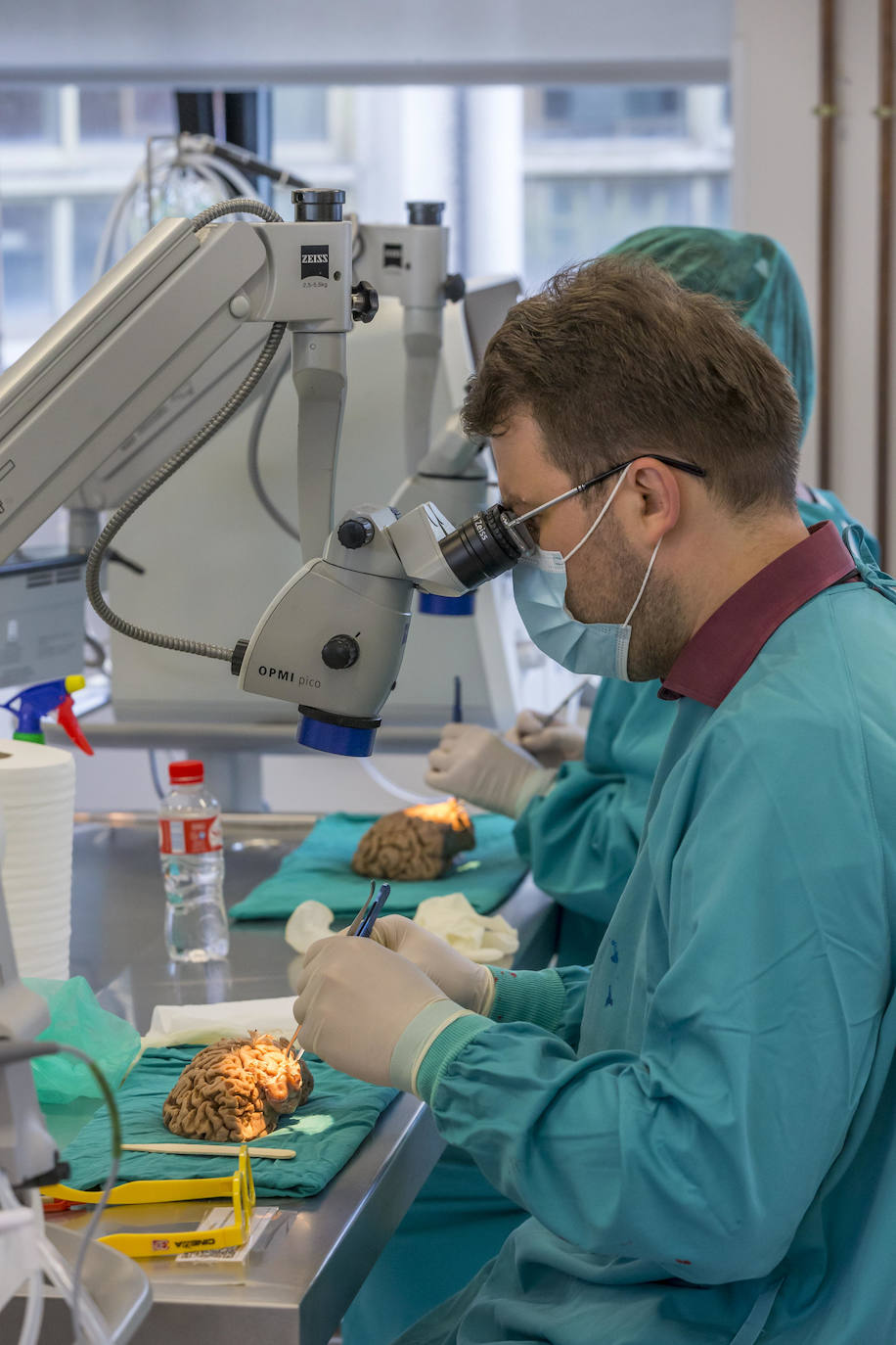 Fotos: Un curso de neurocirujía, único en el mundo, en la Facultad de medicina de Cantabria