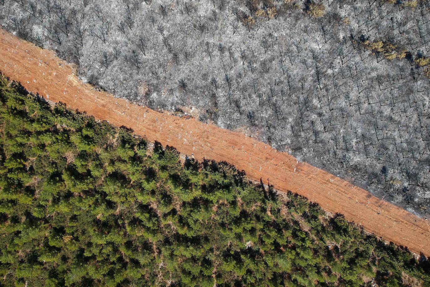 Esta fotografía aérea tomada el 7 de agosto de 2021 muestra una pista delimitada por árboles quemados en un bosque en el distrito de Mugla. Grecia y Turquía han estado combatiendo incendios devastadores este verano mientras la región sufría su peor ola de calor en décadas. Funcionarios y expertos han relacionado eventos climáticos tan intensos con el cambio climático