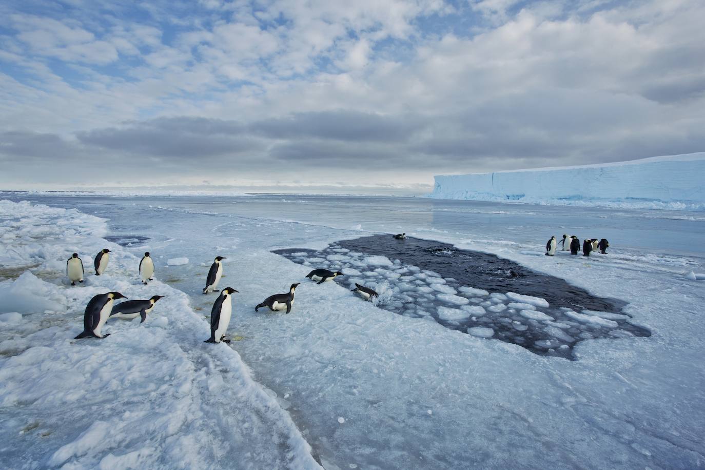 La Fundación la Caixa reúne en el espacio santanderino medio centenar de imágenes de National Geographic sobre los ecosistemas más ricos de la Tierra