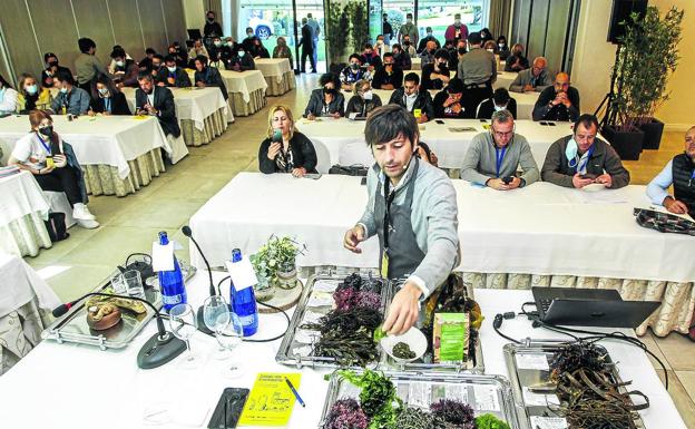 Sabor en Cantabria culmina su primera edición como una experiencia única 