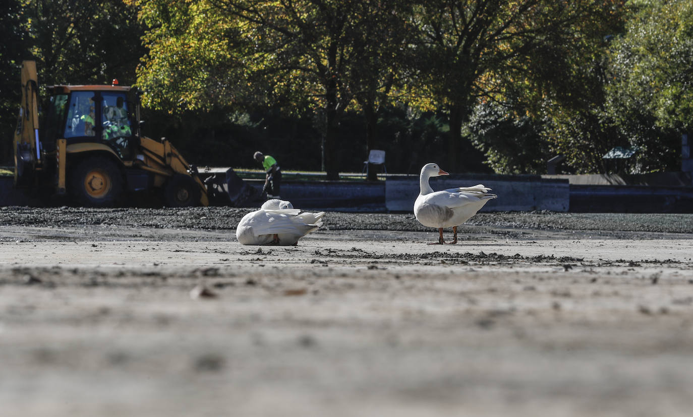 Los vecinos de Santander se han encontrado el lago artificial seco y a los patos caminando por la superficie sin agua. El Ayuntamiento aclara que se trata de una limpieza a fondo necesaria cada dos años