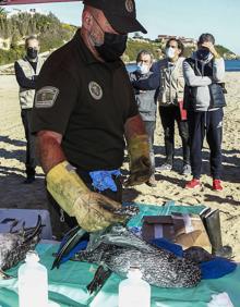 Imagen secundaria 2 - El Plan Ribera se pone a prueba en Suances