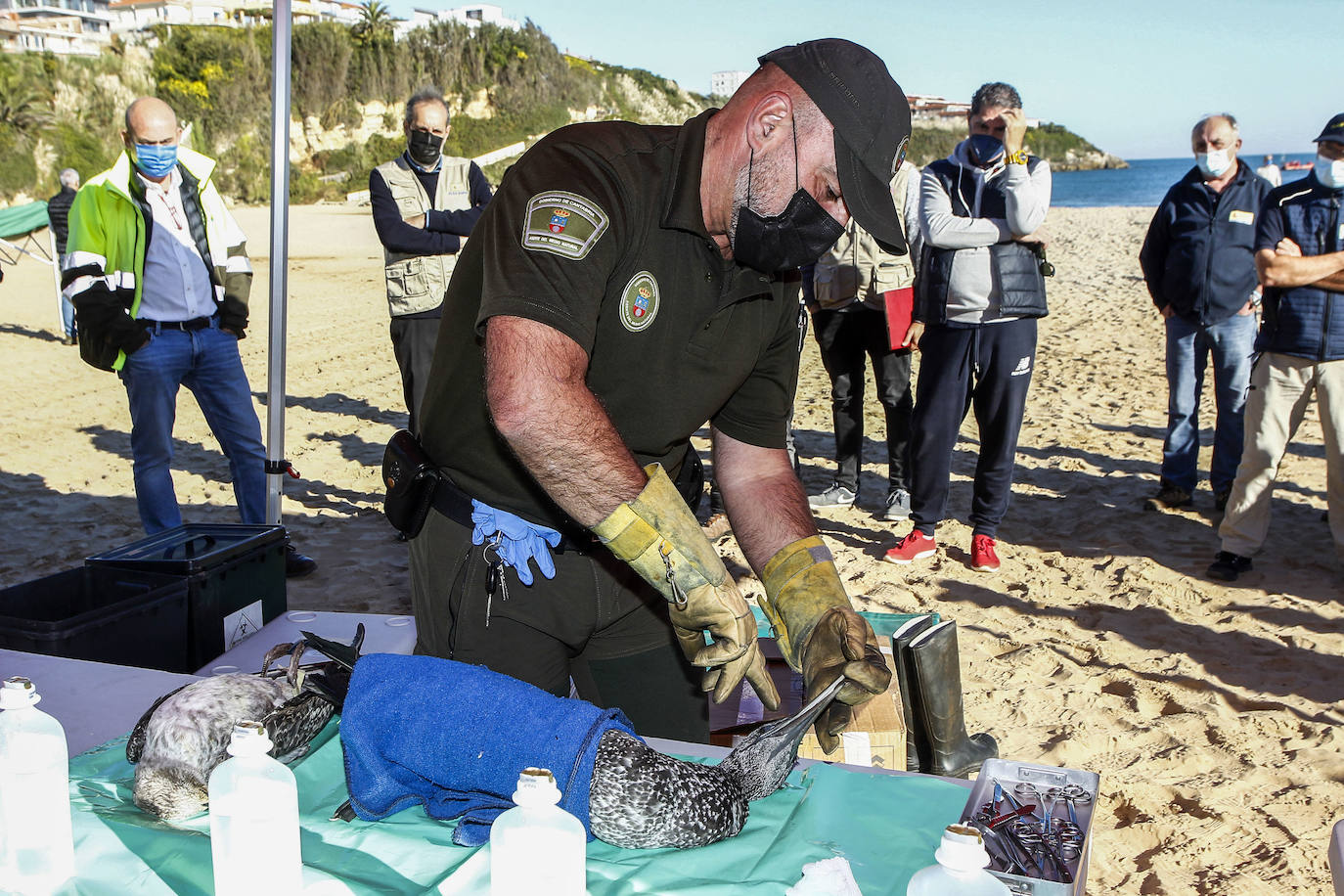 Fotos: Simulacro de actuación ante una posible contaminación marina accidental en la playa de La Concha