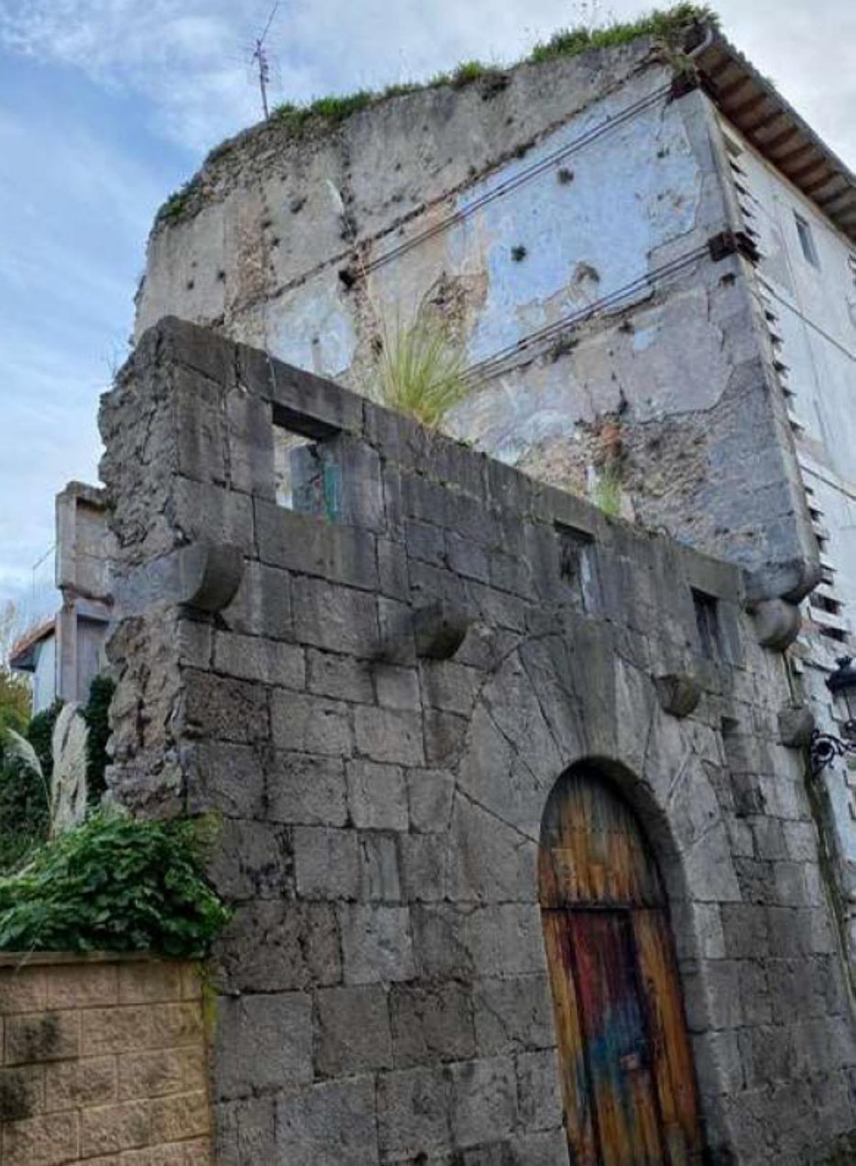 Plumeros sobre el arco de la Casa de los Puntales. 