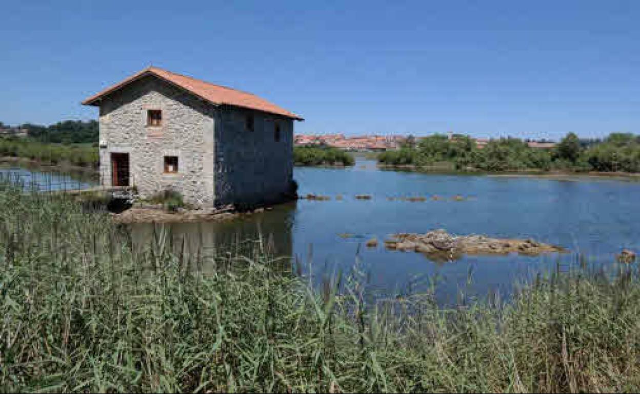 El Molino de la Aves de la marisma Victoria será el punto de salida para la ruta de este sábado