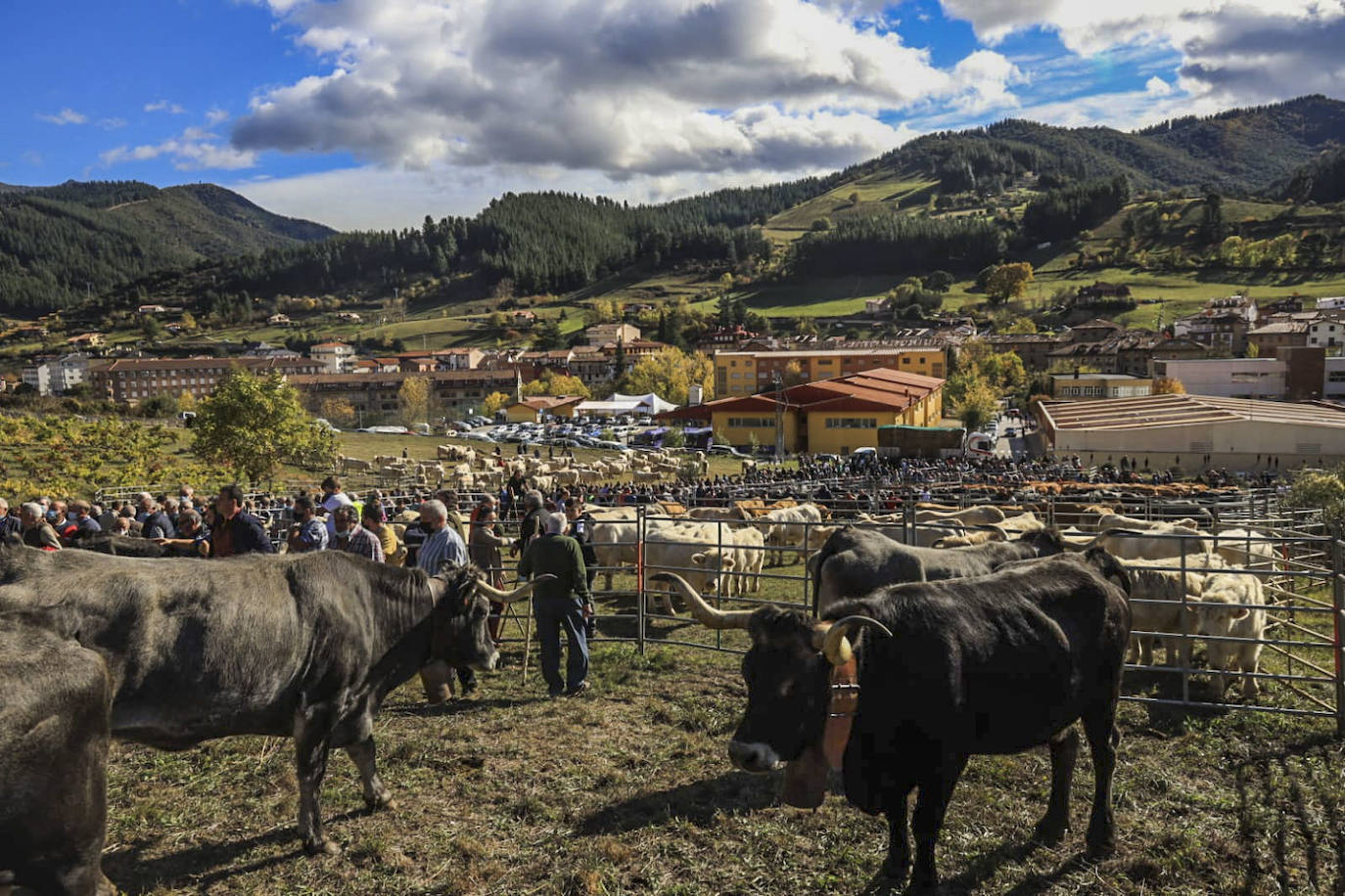 Fotos: Las mejores imágenes de la feria ganadera de Los Santos en Potes