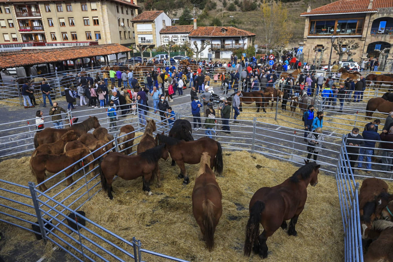 Fotos: Las mejores imágenes de la feria ganadera de Los Santos en Potes