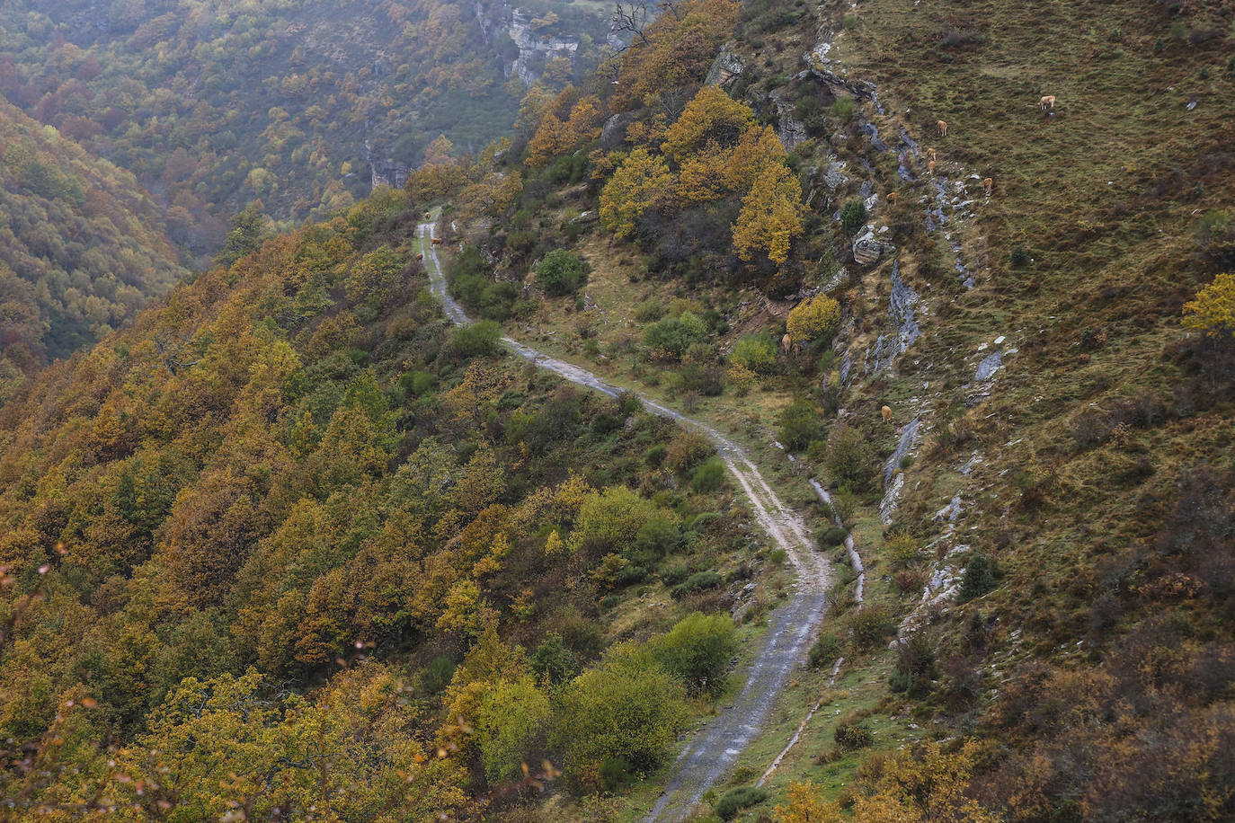 Fotos: Los colores de Campoo en otoño