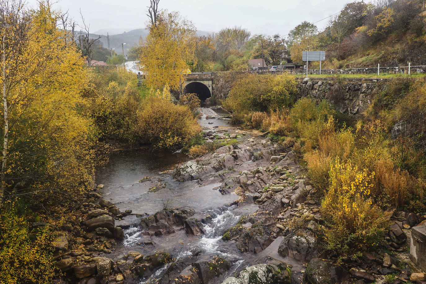 Fotos: Los colores de Campoo en otoño